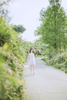 后宫露营樱花动漫